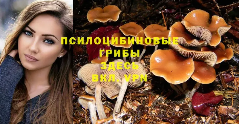 Псилоцибиновые грибы Magic Shrooms  Данилов 